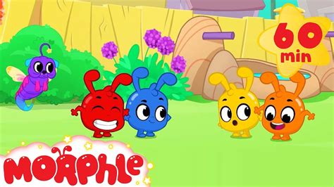 morphle|morphle new episodes.